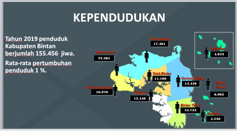 Demografi Kabupaten Bintan