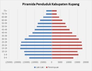 Profil Kabupaten Kupang