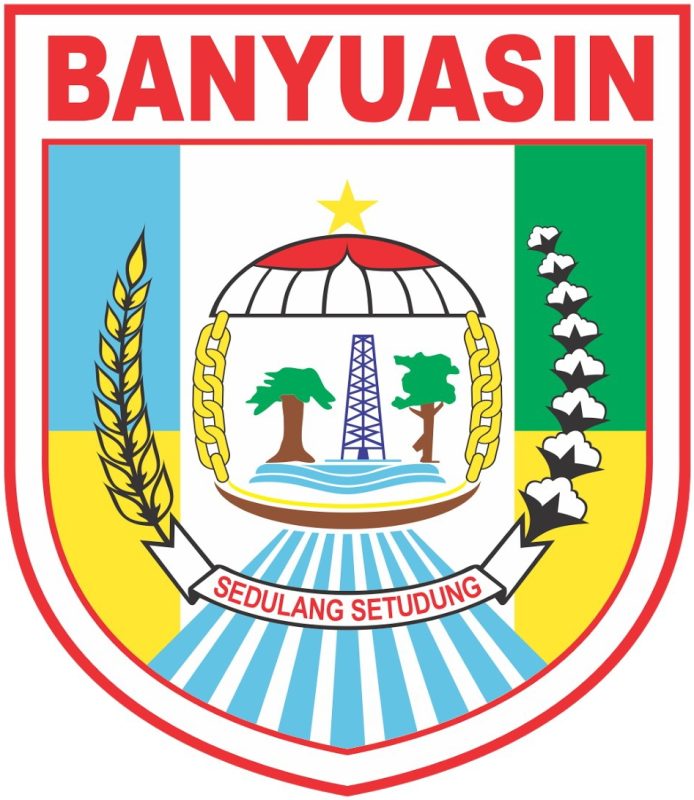 Profil Kabupaten Banyuasin